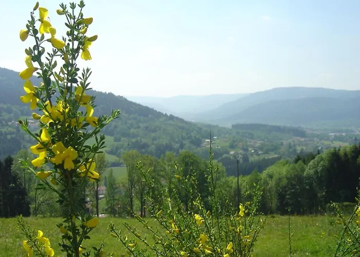 Au Petit Petonfaing Vila